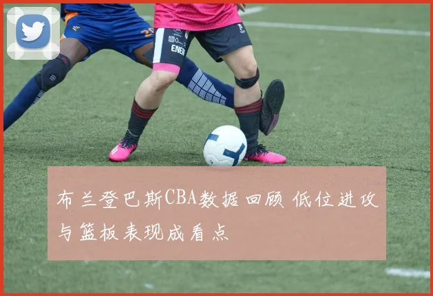布兰登巴斯CBA数据回顾 低位进攻与篮板表现成看点