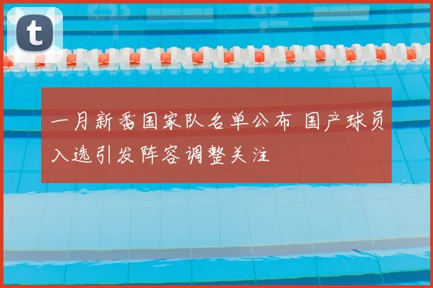一月新番国家队名单公布 国产球员入选引发阵容调整关注