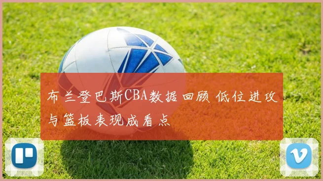 布兰登巴斯CBA数据回顾 低位进攻与篮板表现成看点