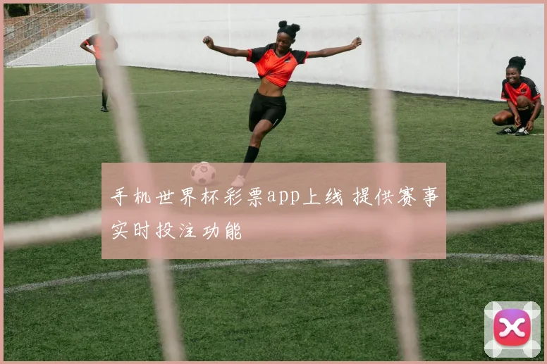 手机世界杯彩票app上线 提供赛事实时投注功能