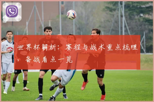 世界杯解析：赛程与战术重点梳理，备战看点一览