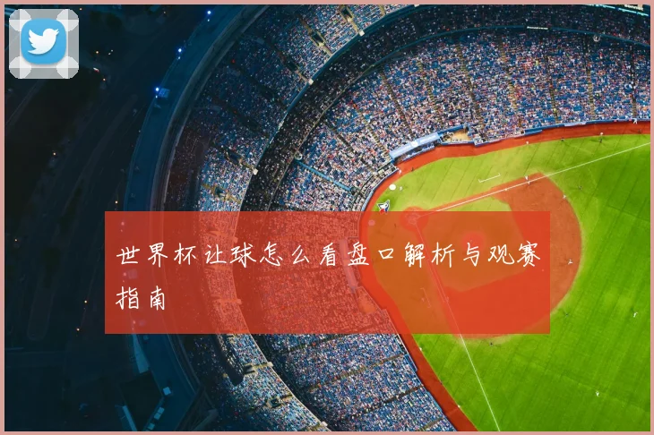 世界杯让球怎么看盘口解析与观赛指南