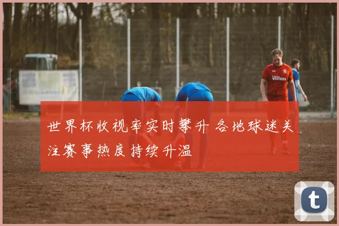 世界杯收视率实时攀升 各地球迷关注赛事热度持续升温